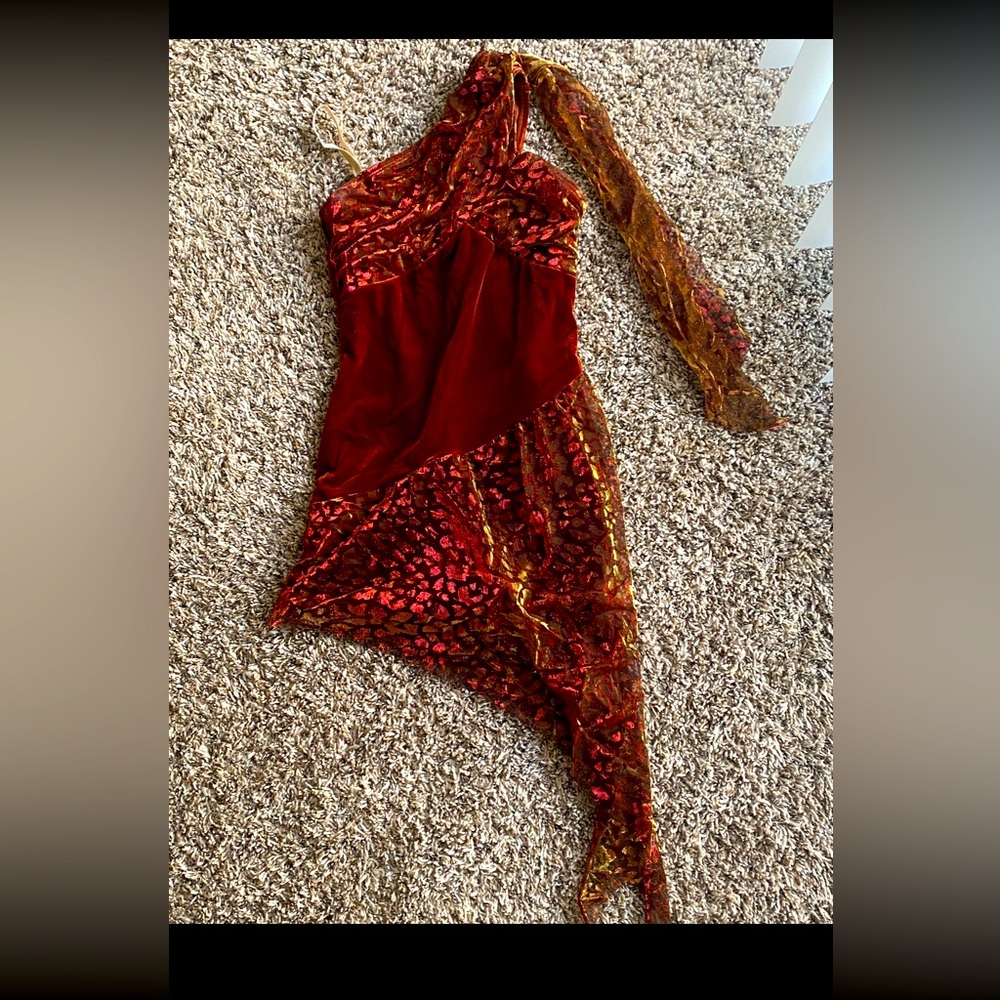 Brown Dress with animal print fringes.